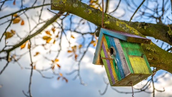 Ein Vogelhäuschen hängt an einem Ast © NDR Foto: Udo Tanske