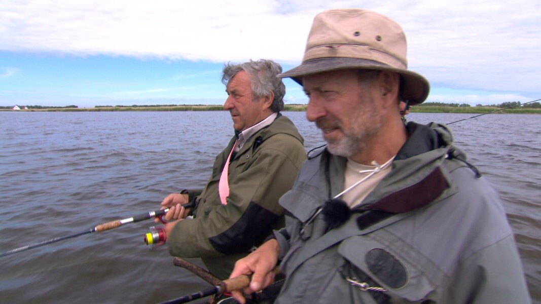 Hiddensee und der Fisch der 1.000 Würfe | NDR.de - Fernsehen ...