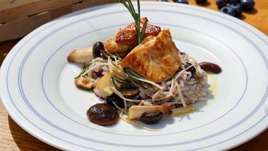 Gebratene Hühnerbrust auf Heidelbeer-Risotto mit gemischten Pilzen auf einem Teller. © NDR Foto: Florian Kruck