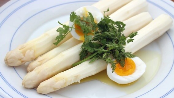 Gedämpfter Spargel mit wachsweichem Ei und frischem Kerbel auf einem Teller serviert. © NDR Foto: Florian Kruck