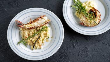 Gebratene Hummerschwänze mit Couscous und mit Kartoffelpüree auf Tellern serviert. © NDR Foto: Frank von Wieding