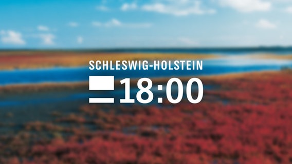 Logo der Sendung Schleswig-Holstein 18:00 Uhr © NDR 