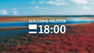 Logo der Sendung Schleswig-Holstein 18:00 Uhr © NDR 