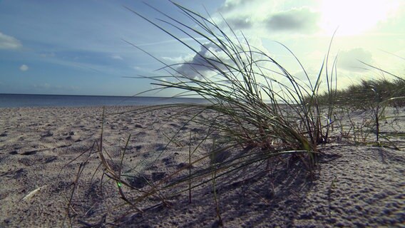 Der Strand von Dörphof. © NDR / SH Magazin Foto: Screenshot