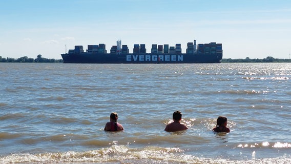 Drei Menschen schwimmen nebeneinander im Meer. Sie blicken geradeaus auf ein Evergreen-Schiff. © Urthe Koschke Foto: Urthe Koschke