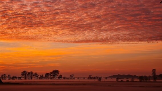 Sonnenuntergang auf einem Feld in Königshügel. © Andrea Fels Foto: Andrea Fels