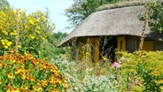 Eine kleine Reetdachhütte, versteckt hinter einer Wand aus Blumen. © Cordula Sönnichsen Foto: Cordula Sönnichsen