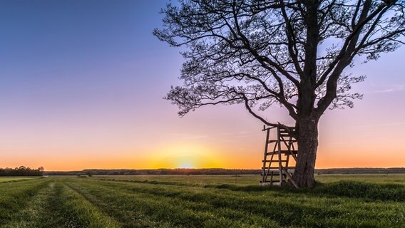 Ein Sonnenuntergang über einem Feld im Naturpark Aukrug. © Martin Schlüter Foto: Martin Schlüter