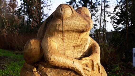 Ein Holzfrosch in einem Waldstück in Breklum. © Angela Meyer Foto: Angela Meyer