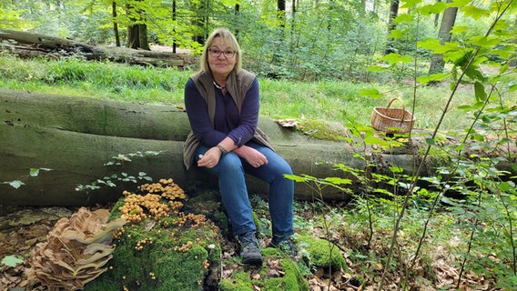 Pilzfachfrau Dagmar Detloff-Scheff sitzt im Wald auf einem ligenden Baumstamm, in der Hand einen kleinen Pilz. © NDR Foto: Dr. Andrea Ring