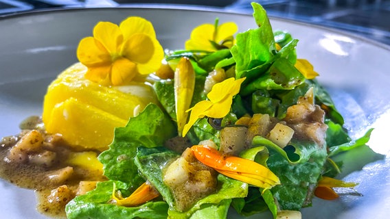 Kürbis mit Ziegenkäse und Endiviensalat auf einem Teller angerichtet. © NDR 