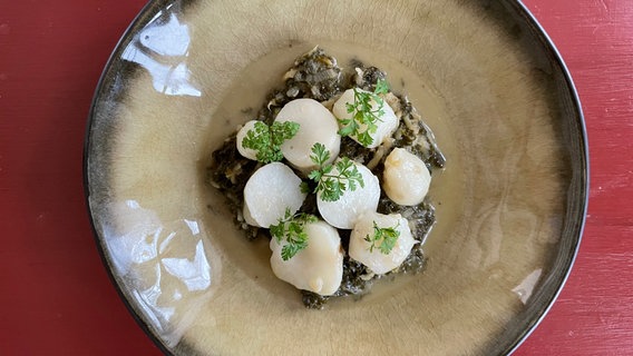 Vegetarischer Grünkohl mit Topinambur auf einem rustikalen Teller angerichtet. © NDR 