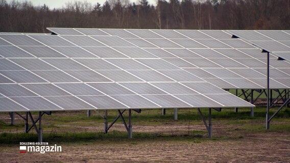 Photovoltaikanlagen stehen auf einem Feld. © NDR 