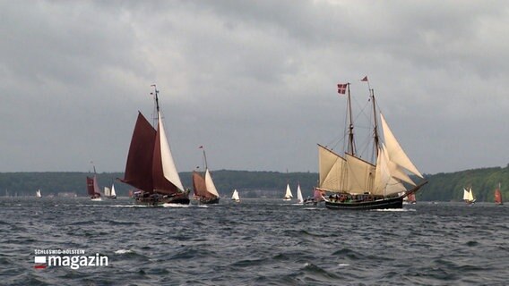 Segelschiffe sind in der Flensburger Förde bei einer Regatte unterwegs. © NDR 