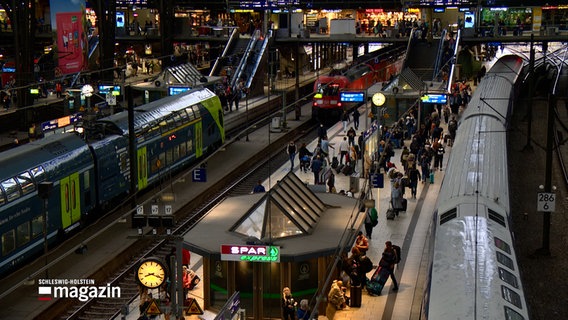 Zahlreiche Fahrgäste sind am Hamburger Hauptbahnhof unterwegs. © NDR 