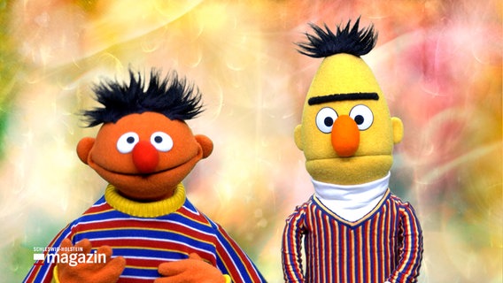 Ernie und Bert von der Sesamstraße blicken in die Kamera vor einem bunten Hintergrund. © NDR 