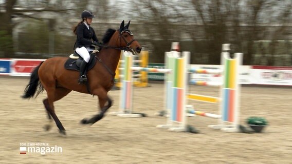 Eine Reiterin reitet auf einem Pferd in Ehlersdorf bei einem Springturnier. © NDR 