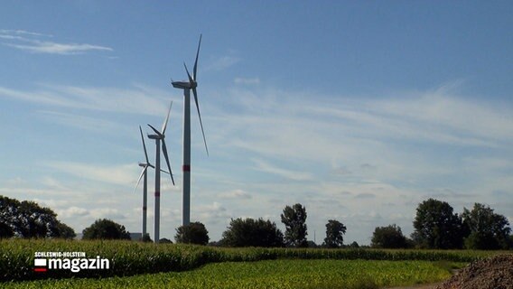 Windkraftanlagen stehen auf einem Feld bei Loop. © NDR 