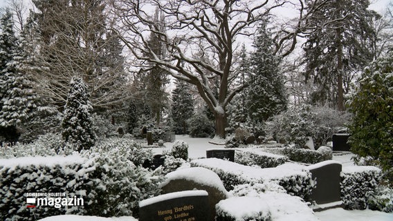 Schnee liegt auf Grabsteinen, Bäumen und Böschungen auf einem Friedhof in Mölln. © NDR 