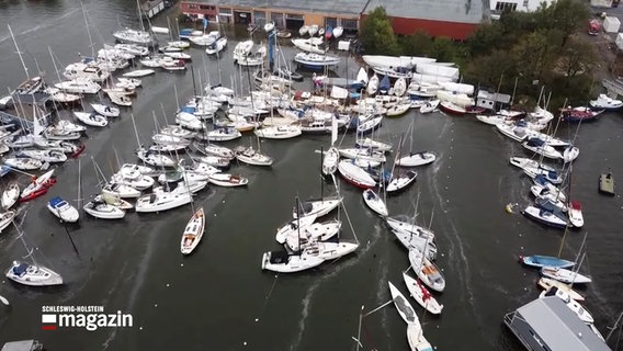 Zahlreiche Segeljachten und Segelboote stehen wild durcheinander im Wiking Hafen an der Schlei. © NDR 