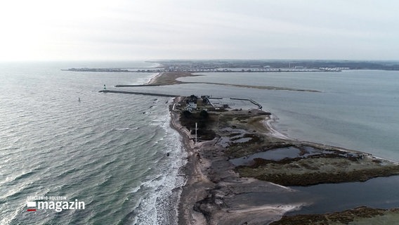 Eine Drohnenaufnahme zeigt einen Küstenabschnitt der Schlei. © NDR 