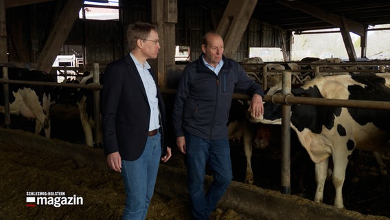 Ministerpräsident Daniel Günther (CDU, l.) und Bauernpräsident Klaus-Peter Lucht (r.) stehen in einem Kuhstall in Mörel. © NDR 