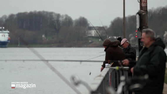 Mehrere Männer angeln hinter einem Geländer im Nord-Ostsee-Kanal. © NDR 