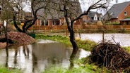 Wasser steht auf den Wiesen in der Gemeinde Ellerbek. © NDR 