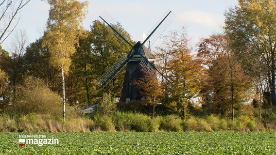 Eine alte Mühle steht auf einem Feld. © NDR Foto: NDR Screenshots