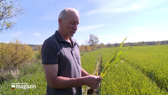 Landwirt Rolf Eggers steht auf seinem Acker und hält eine Pflanze in den Händen © NDR 