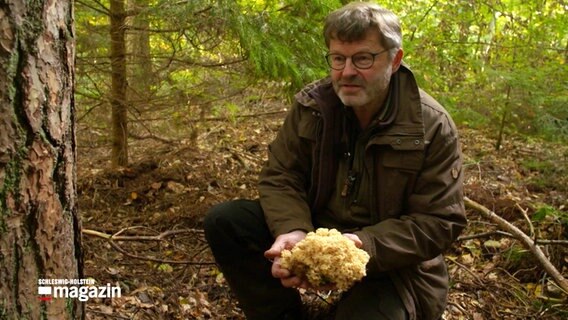 Eckhard Kopla kniet bei einer Pilzwanderung im Lübecker Stadt und hält den Pilz "Krause Glocke" in die Kamera © NDR Schleswig-Holstein Magazin Foto: NDR