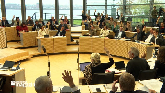 Die Landtagsabgeordneten sitzen im Kieler Landtag © Screenshot 