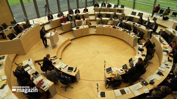 Die Landtagsabgeordneten sitzen im Kieler Landtag © Screenshot 