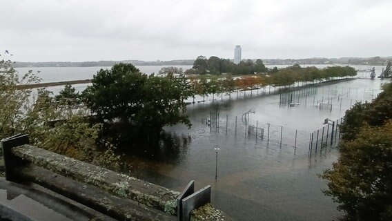 Schleswig: Das Wasser aus der Schlei überschwemmt einen Park mit Sportplatz. © Andreas Boyer Foto: Andreas Boyer