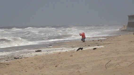 Eine Person macht ein Foto an einem Strand bei Sturm. © NDR 