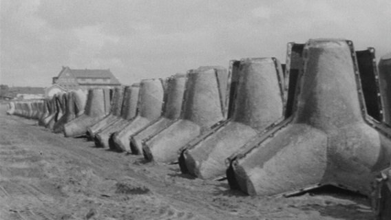 Eine historische Aufnahme zeigt viele Tetrapoden in Reihen stehen. © NDR 