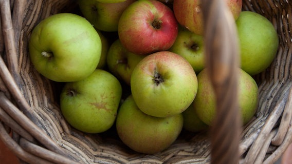 Äpfel in einem Korb © NDR Foto: Claudia Timmann