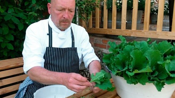 Der Hobby Koch Dirk Endrulat zupft und wäscht Salat gerne im Freien. © NDR/dmfilm 