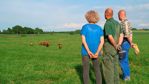 Endlich - die Schafe haben es auf die Weide des Kastanienhofes geschafft. © NDR/dmfilm 