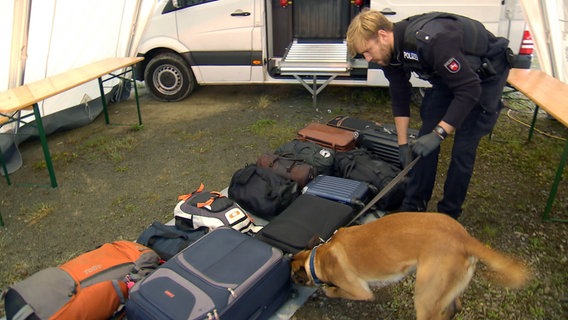 Drogenspürhund kontrolliert Koffer. © NDR/novofilm 