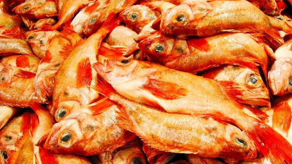 Auf dem Fischmarkt Hamburg werden neben Rotbarsch täglich 60 bis 80 Sorten Frischfisch gehandelt. So viele wie nirgendwo sonst in Deutschland. © NDR/Cinecentrum/Veit Bentlage 