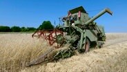 Der alte Mähdrescher ist schon einige Jahrzehnte alt - leistet aber noch immer gute Dienste für die Biobauern. © NDR 