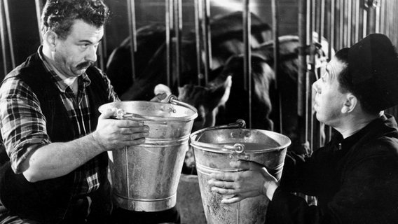 Manchmal müssen Don Camillo (Fernandel) und der grantige Peppone (Gino Cervi) eben doch zusammenarbeiten: zum Beispiel im Kuhstall. © NDR/Degeto 