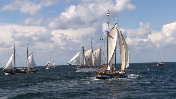 Historische Segelschiffe aus aller Welt sind der Blickfang zur alljährlichen Hanse Sail in Rostock. Viele bieten Mitsegelplätze für Gäste zu Tagesausfahrten auf die Ostsee. © NDR/Hanse TV 