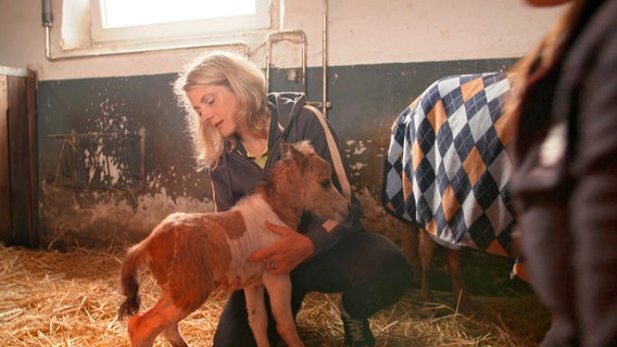 Die Tierärztin Alexandra Erbeldinger ist in großer Sorge, ob Stute und Fohlen wohlauf sind. Kurzerhand richtet sie sich ein Nachtlager im Stall ein. © NDR/Doclights GmbH 2020 