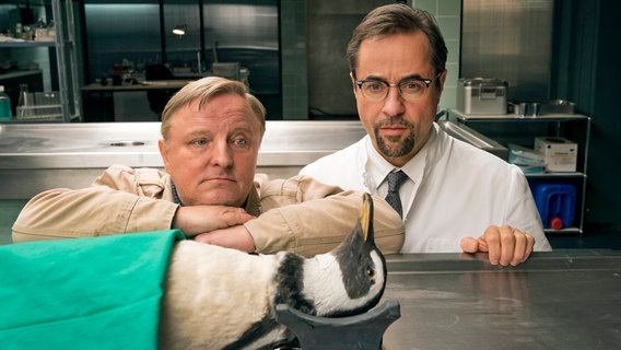 Ein Pinguin in der Rechtsmedizin – mit Kommissar Frank Thiel (Axel Prahl, l) und Prof. Boerne (Jan Josef Liefers, r). © WDR/Thomas Kost 
