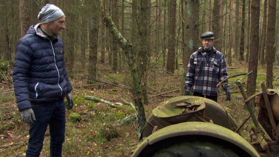 Holgers Eicher im Wald bei Unterlüß vor der Bergung. © NDR 