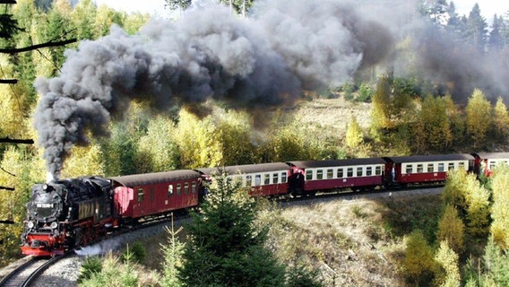 Die Brockenbahn fährt durch den Wald auf den Gipfel. Die Brockenbahn fährt durch den Wald auf den Gipfel. © NDR/picture-alliance