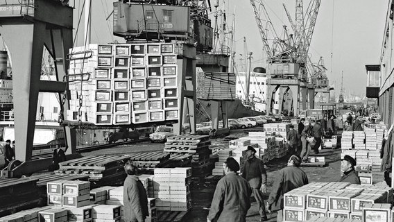 Der Hansahafen in Hamburg Anfang der 70er-Jahre: Orangen und Zitronen werden noch immer in kleinen Kisten gelöscht. © NDR/Hamburger Hafen und Logistik AG 