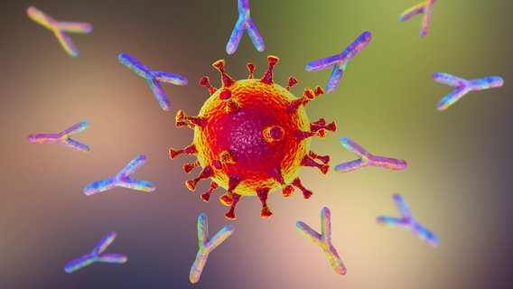 Ein Virus mit Spikes © Imago-Images / Science Photo Library Foto: KATERYNA KON